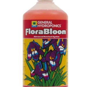 GHE FLORA BLOOM