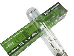PURE LIGHT MH 250 W Vegetativa