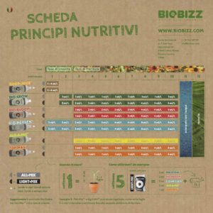 SCHEDA BIOBIZZ