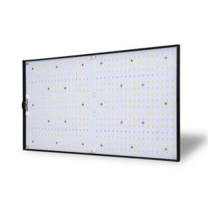PhytoLED QBoard 240w