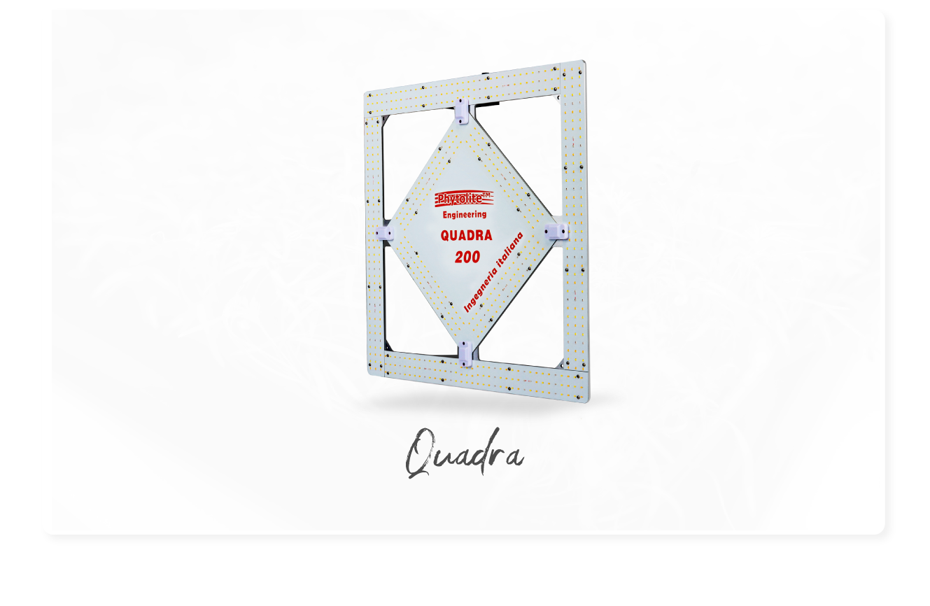 Quadra 200w Phytolite