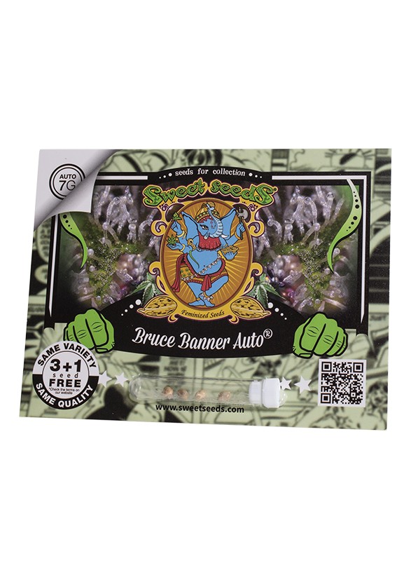 Bruce Banner Auto®  Sweet Seeds - immagine 2